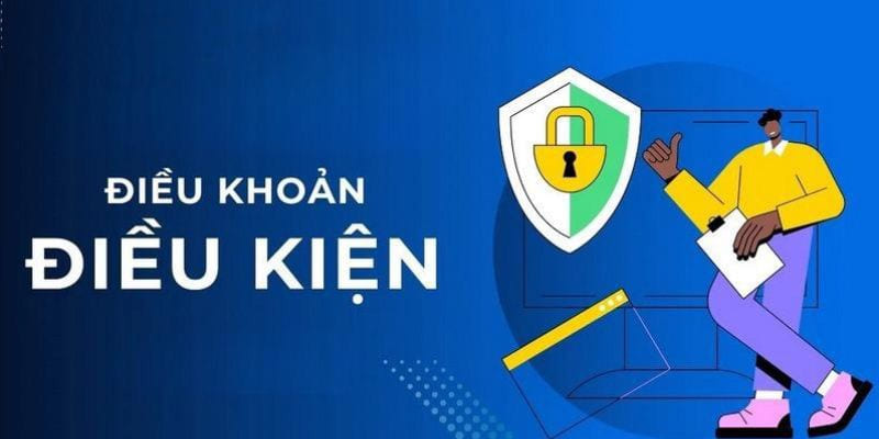 Tổng quan điều khoản điều kiện